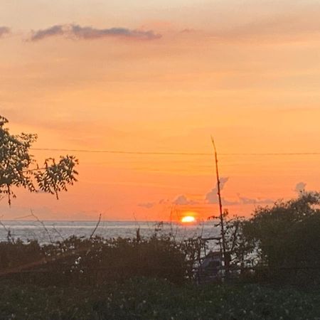 ホテル Al-Shifa Healing House Lombok ギリ・アイル エクステリア 写真