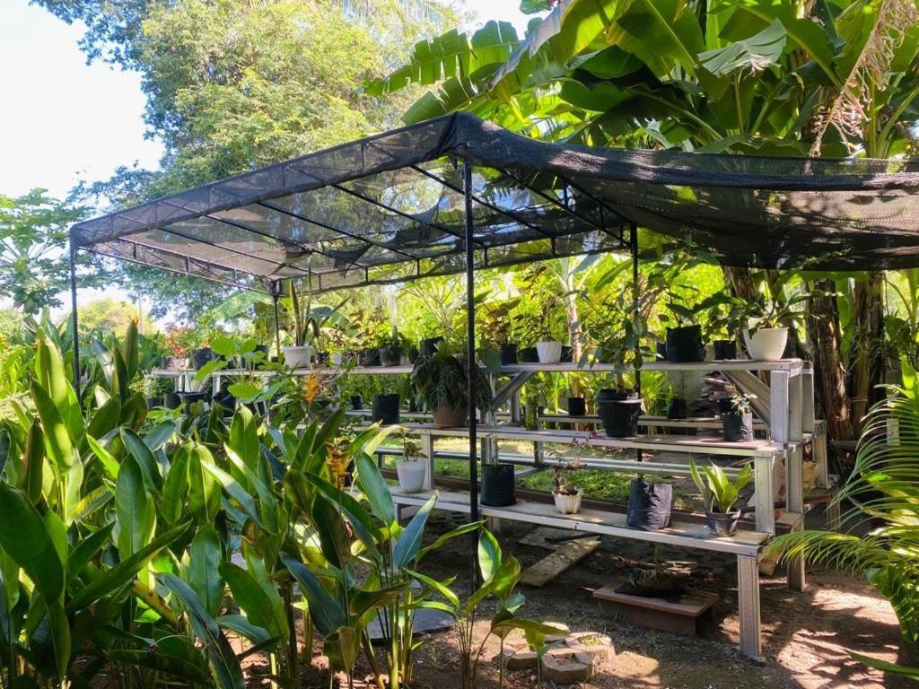 ホテル Al-Shifa Healing House Lombok ギリ・アイル エクステリア 写真