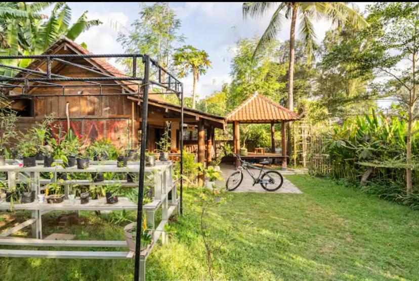 ホテル Al-Shifa Healing House Lombok ギリ・アイル エクステリア 写真